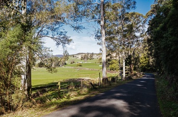 Landbrugsområdet omkring  Pyengana - Tasmanien