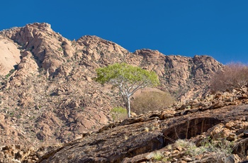 Landskab på vej til The White Lady klippemaleri ved Brandberg-bjerget i Namibia