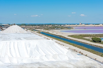 Saltmarsk, Aigues Mortes i Languedoc-Roussillon, Frankrig