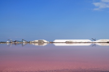 Saltmarsk, Aigues Mortes i Languedoc-Roussillon, Frankrig