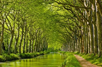Smuk natur langs Canal du Midi, Languedoc-Roussillon, Frankrig