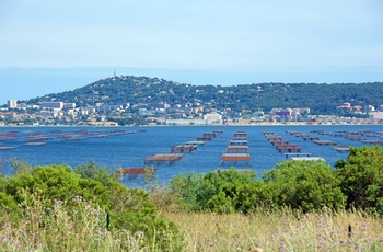 Udsigt til østersfarme, Thau Lagune i Languedoc-Roussillon, Frankrig