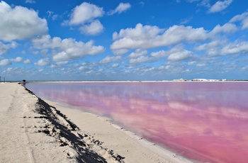 Las Colorados, saltsøer nær Rio Lagartos på Yucatan-halvøen - Mexico