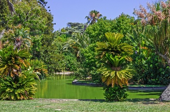 Tropiske planter og lille sø i Jardim Botânico Tropical i Lissabon