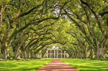 Indgangen til Oak Alley Plantation i Louisiana, USA