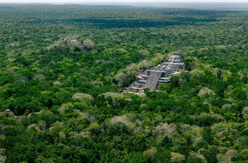 Luftfoto af junglen med mayaruiner i Calakmul - Mexico
