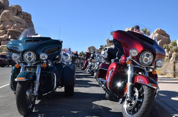 MC USA parkering Joshua Tree NP