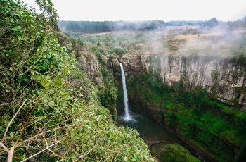 Vandfaldet Mac Mac Falls i Sydafrika