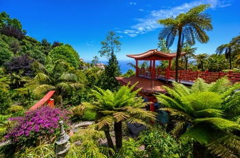 Den botaniske have i Funchal, Madeira