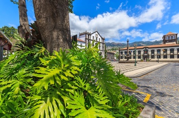 Katedralen Sé i Funchal på Madeira - Portugal