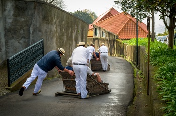 Kurveslædetur mellem Monte og Funchal