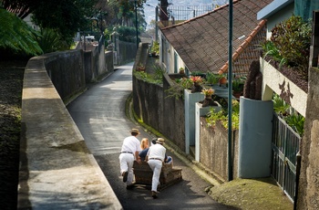 Kurveslædetur mellem Monte og Funchal