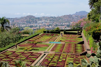 Jardim Botanico - Madeira
