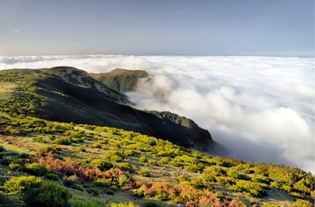 Parque Natural da Madeira