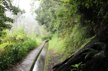 Levada på Madeira