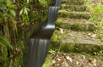 Levada på Madeira