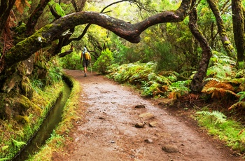 Levada på Madeira