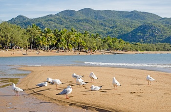 Horseshoe Bay på Magnetic Island