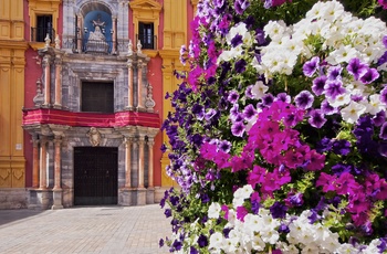 Farverige blomster i centrum af Malaga
