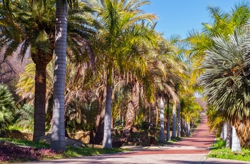 La Concepción, den botaniske have tæt på Malaga, Spanien