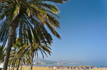 Playa de La Malagueta i Malaga