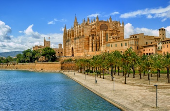 La Seu katedralen på Mallorca 