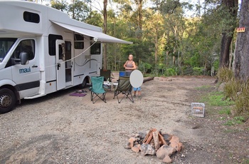 Malue rejsespecialist i Aarhus - QLD Tamborine Mountain Thunder Park