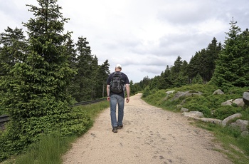 Foto: Mand på vandretur på Goetheweg ved foden af ​​Brocken i Harzen National Park - © FDM Travel, Shutterstock