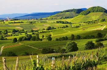 Markgräflerland © Hochschwarzwald Tourismus GmbH