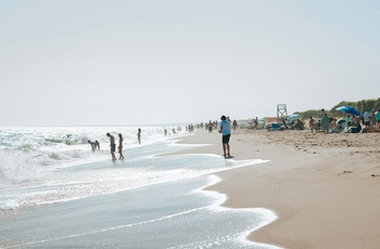 En af de mange strande på øen Martha's Vineyard, Massachusetts  - Foto Benjamin R. on Unsplash