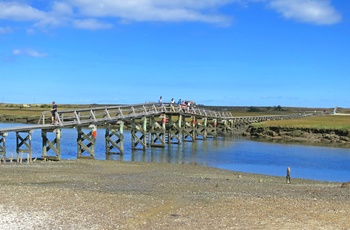 Træpromenade til stranden i byen Sandwich på Cape Cod, Massachusetts