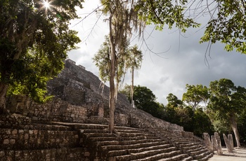 De gamle mayaruiner i Calakmul - Mexico