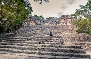 Mayaruinerne i Calakmul, Mexico