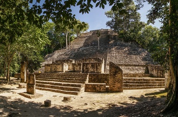 De gamle mayaruiner i Calakmul - Mexico