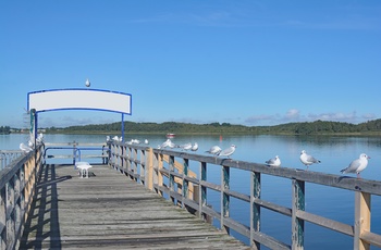 Muritz National Park, Mecklenburg