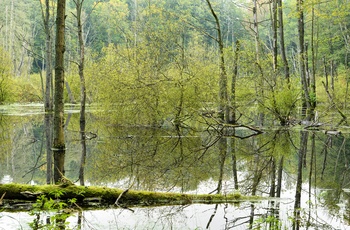 Muritz National Park, Mecklenburg