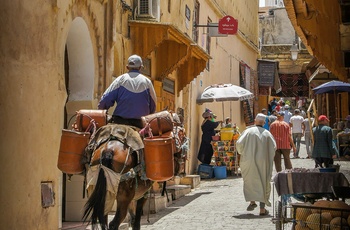 Medinaen i Fes, Marokko - Foto: Vince-Gx, Unsplash