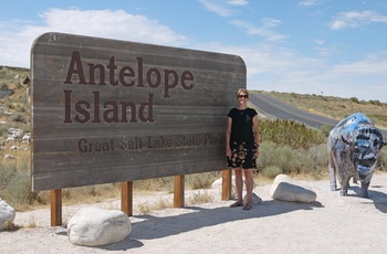 Mette på Antelope Island - rejsespecialist i Lyngby