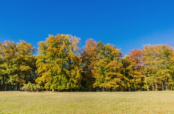 Efterår i slotspark Altenstein