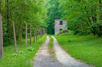 Buchenwald, KZ-lejr i Thüringen, Tyskland