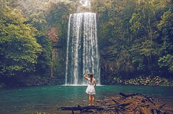 Millaa Millaa Falls i Atherton Tablelands i Queensland 