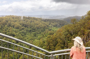 Minyon Falls i Nightcap National Park - NSW, Australien