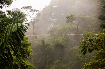 Hængebro i regnskoven i Mistico Arenal Hanging Bridges ved La Fortuna - Costa Rica