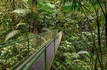 Mistico Arenal Hanging Bridges ved La Fortuna - Costa Rica