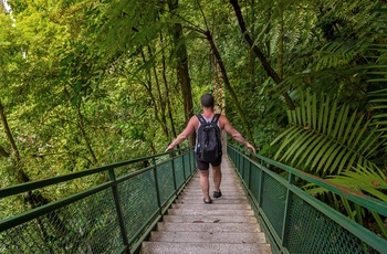 Mand på vej gennem Mistico Arenal Hanging Bridges nær La Fortuna - Costa Rica