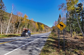 Bil på vej gennem Mont-Tremblant National Park i Quebec - Canada