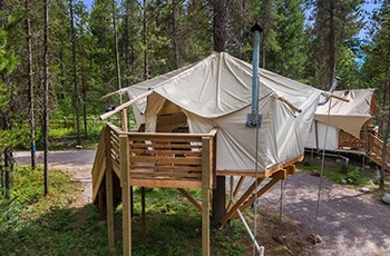 Glacier Under Canvas - Glamping i Montana, USA