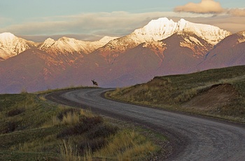Bjergvej gennem National Bison Range i Montana, USA