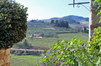 Udsigt fra Montefioralle til vinmarker, Toscana