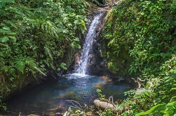 Lille vandfald i Monteverde Cloud Forest Reserve - Costa Rica